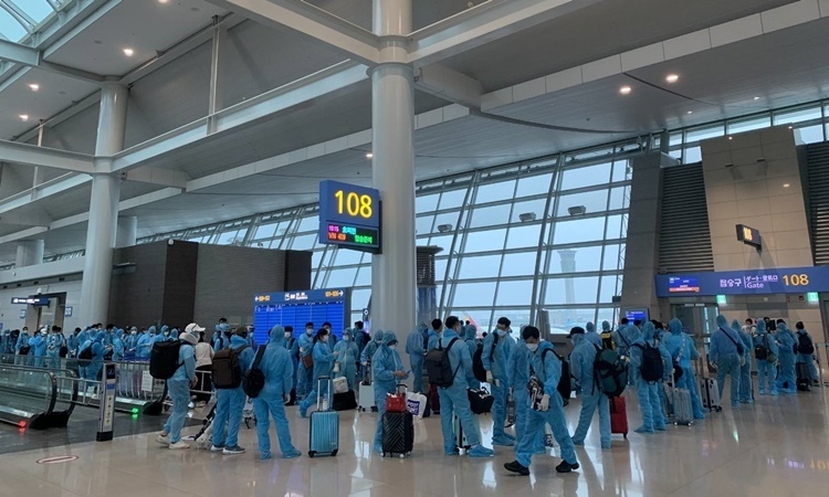 More than 300 Vietnamese nationals safely return from RoK